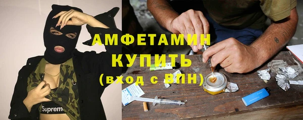 крисы Переславль-Залесский