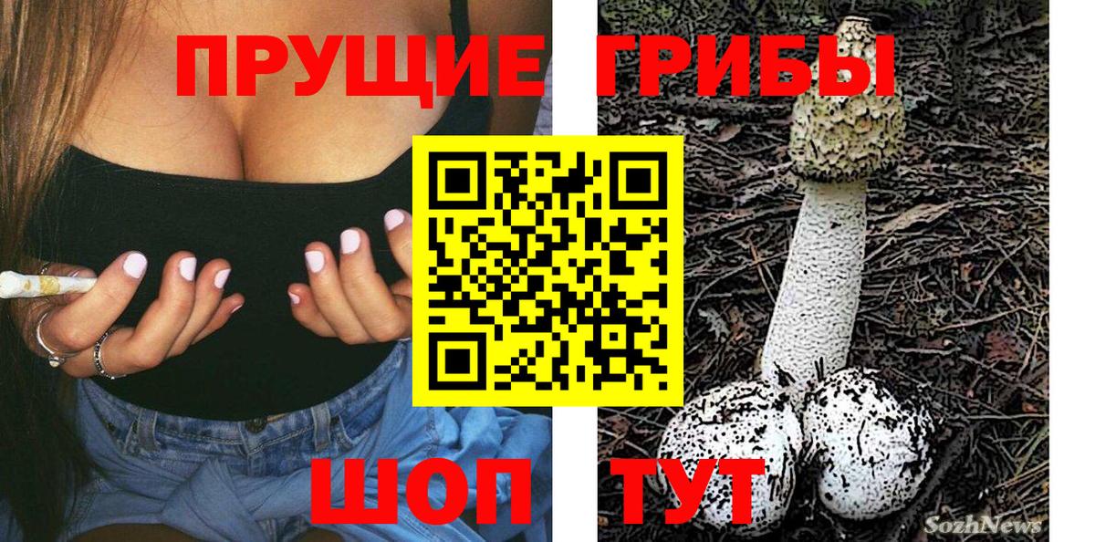 Псилоцибиновые грибы прущие грибы Москва