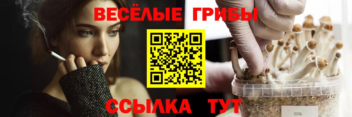 Псилоцибиновые грибы мицелий  Вход с VPN  Москва 